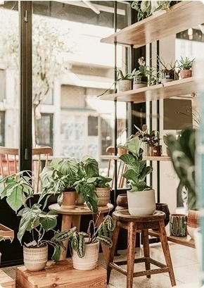 Рады приветствовать 4