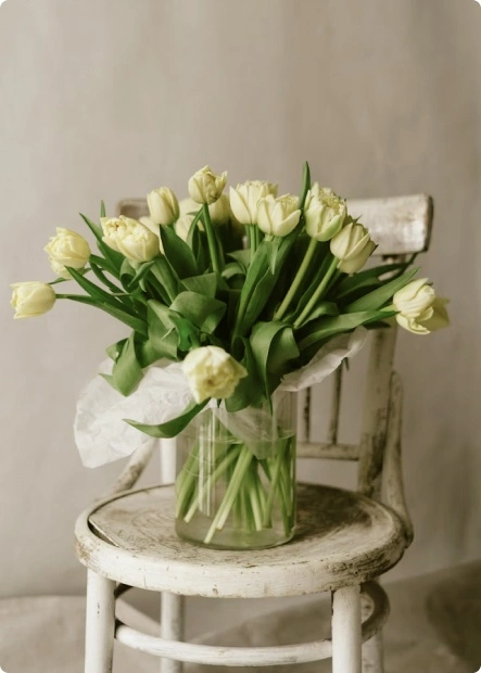 Рады приветствовать 3