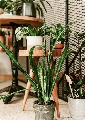 Рады приветствовать 2